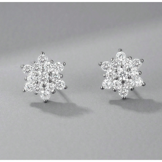 925 Silver Moissanite Earrings(ME0001)
